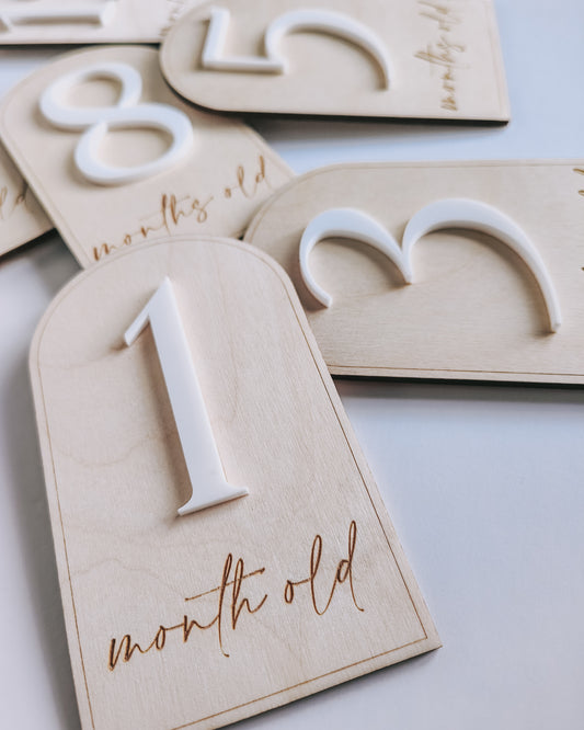 Baby milestone discs