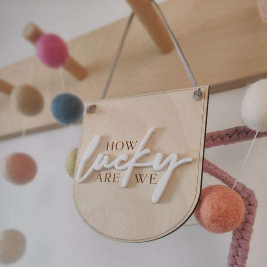 How lucky are we, mini hanging banner