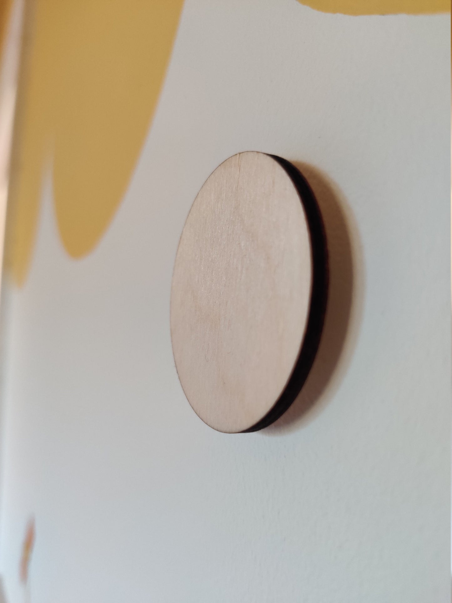 Circle self adhesive wall hooks