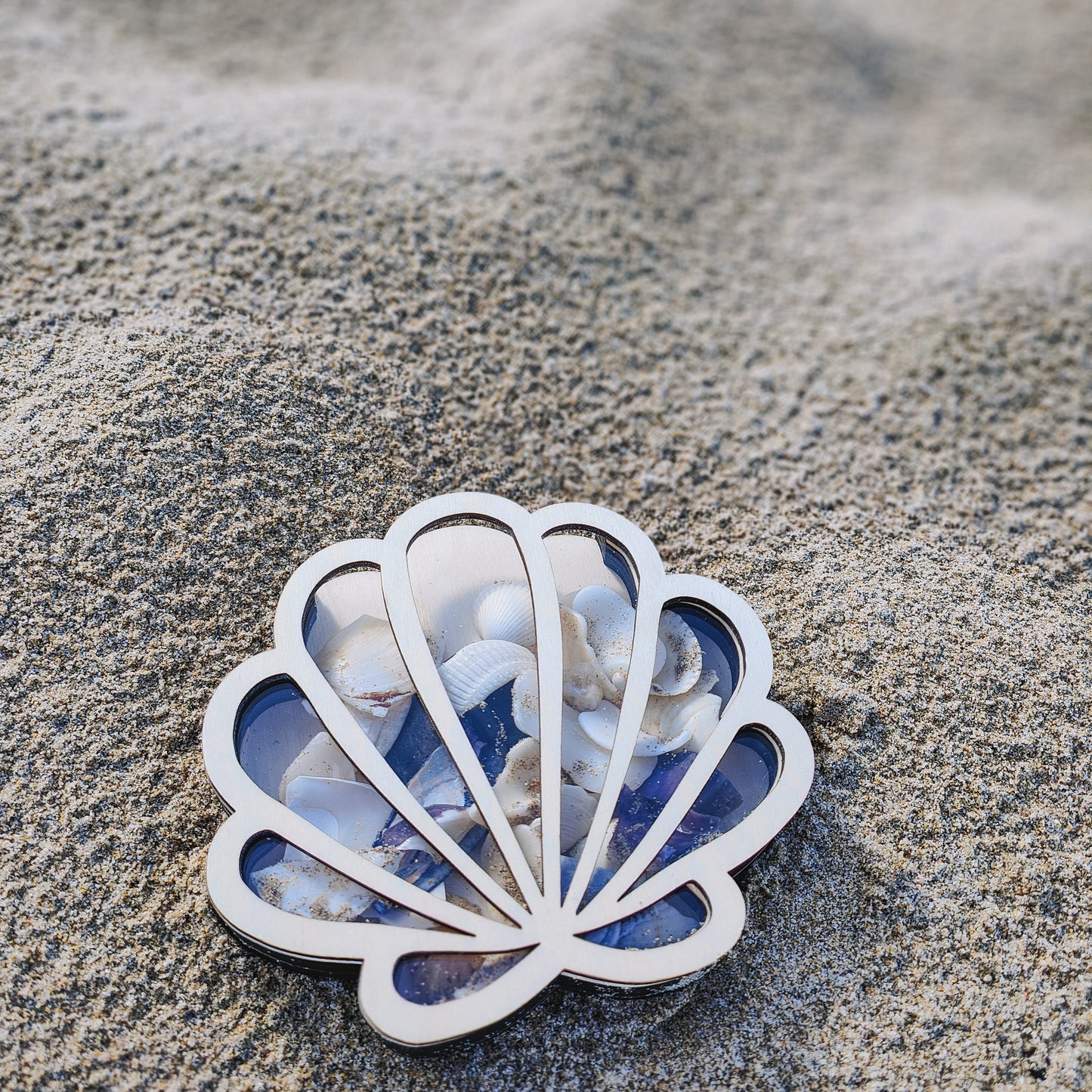 Shell collection pot