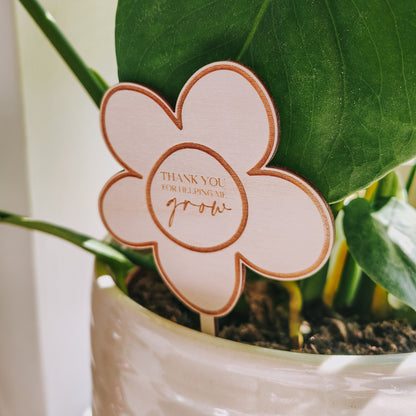 Teacher plant stake