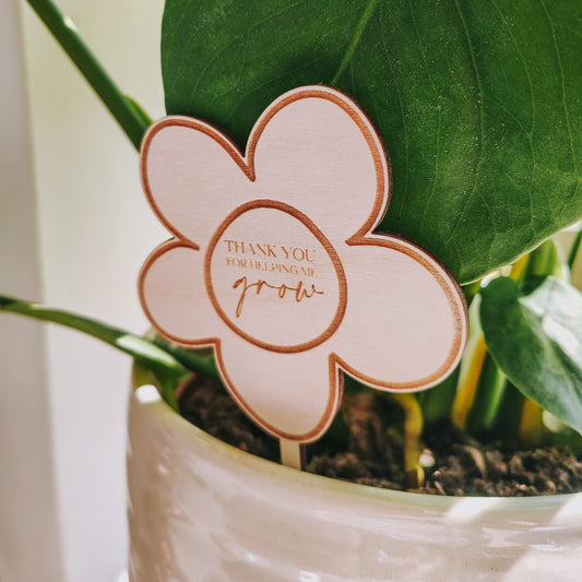 Teacher plant stake